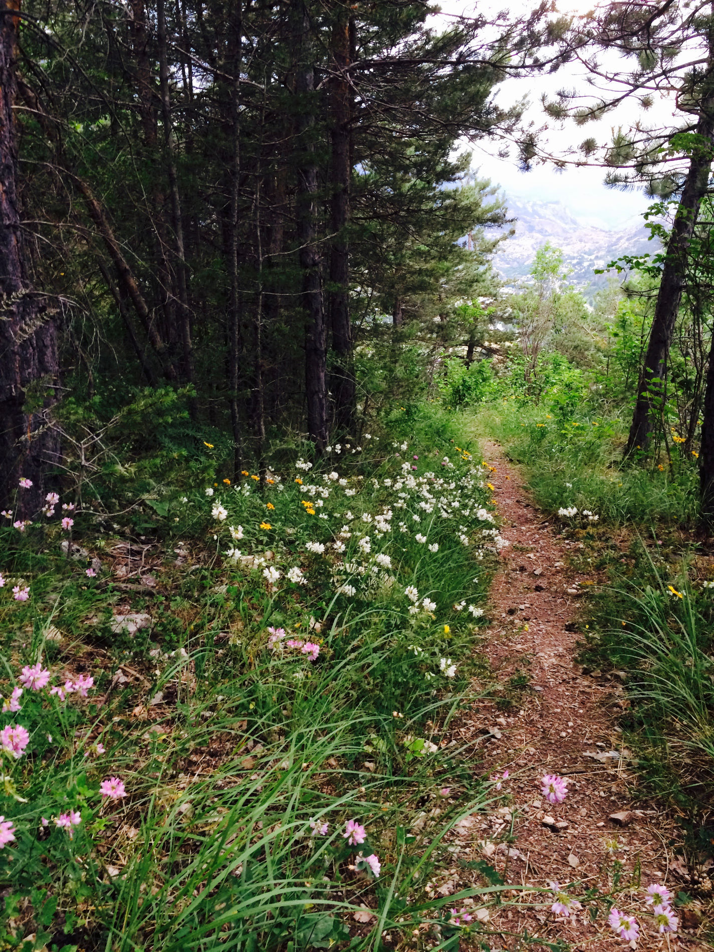 Behandlungsformen_Koerperpsychotherapie