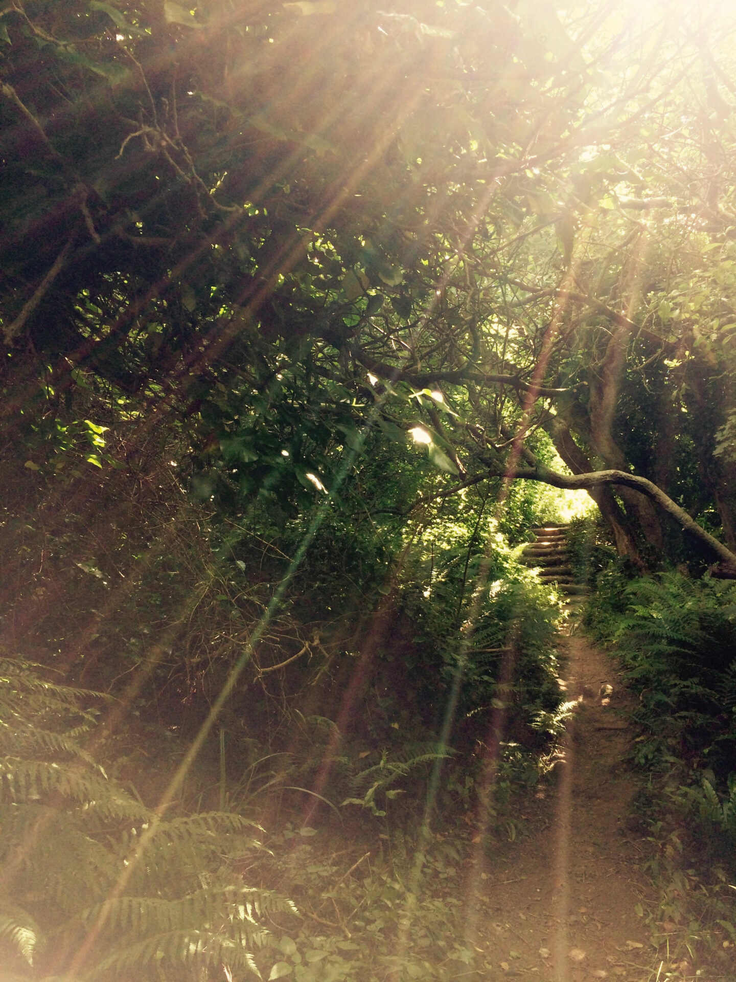 Craniosacrales_Licht